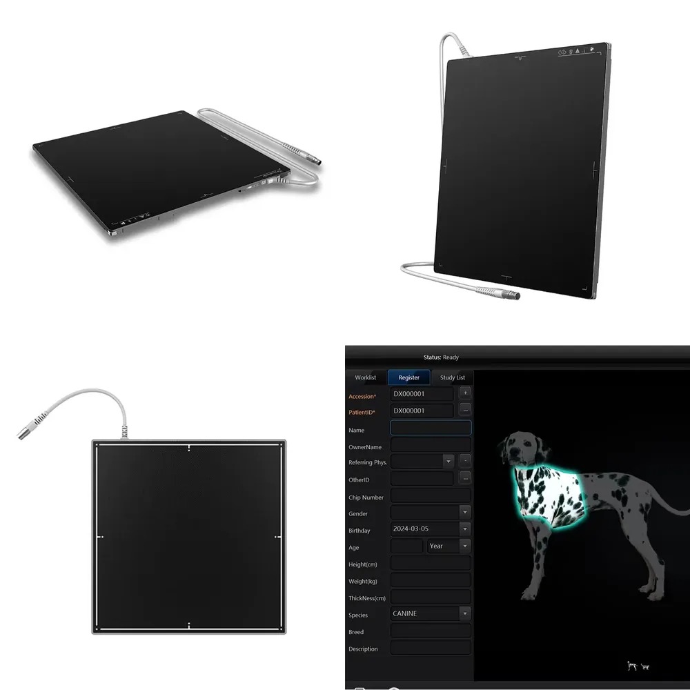 Offerta Speciale: Rivelatore a - X Tech Accessories recensione e prezzo